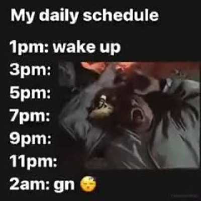 2meirl4meirl