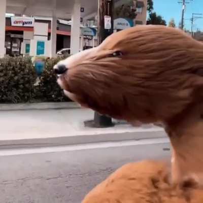 &ldquo;I&rsquo;m feeling good&rdquo;