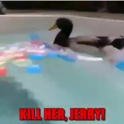 JERRY!