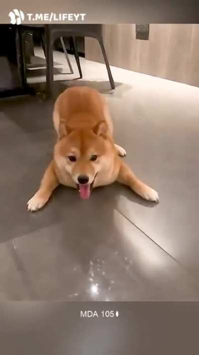123