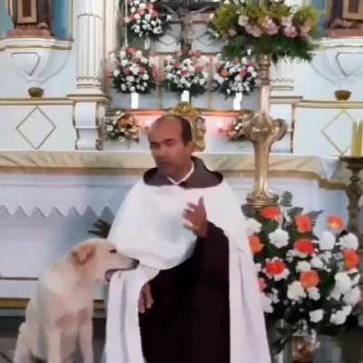 Tava com o c&atilde;o no corpo!