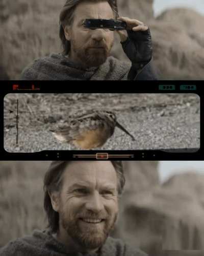 Hello there!