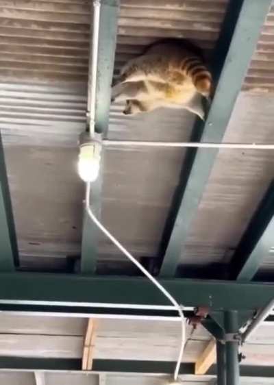 Mission impossible