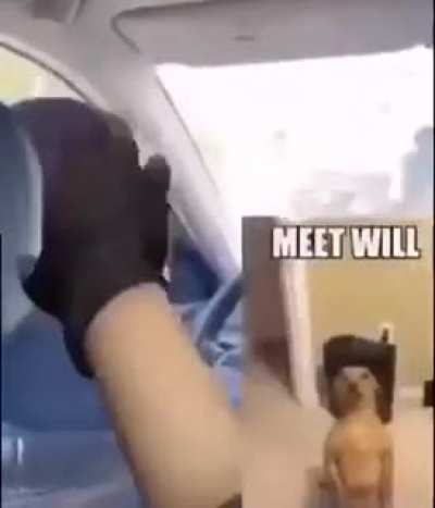 &aelig;