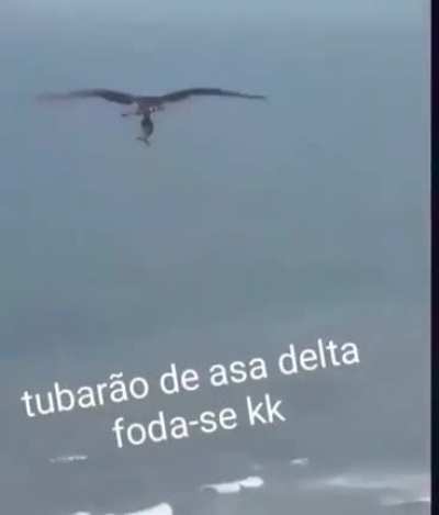 Sem coment&aacute;rios