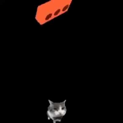 ULTRAKITTY