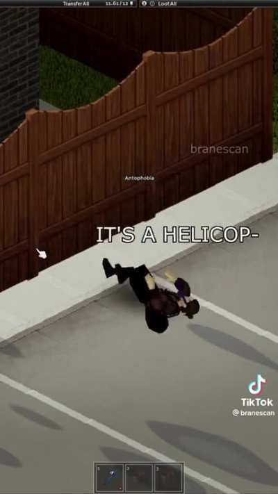 Is this a mod?