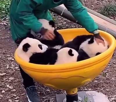 Merry Go Round