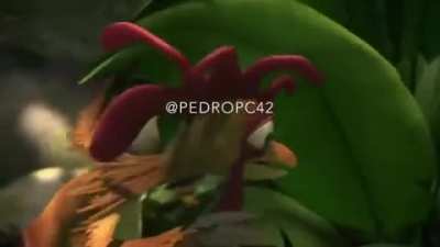 Esse frango deveria ter o pr&oacute;prio filme (por favor n&atilde;o comer o frango)