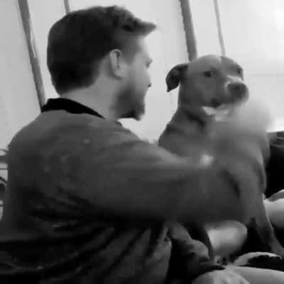Boop it