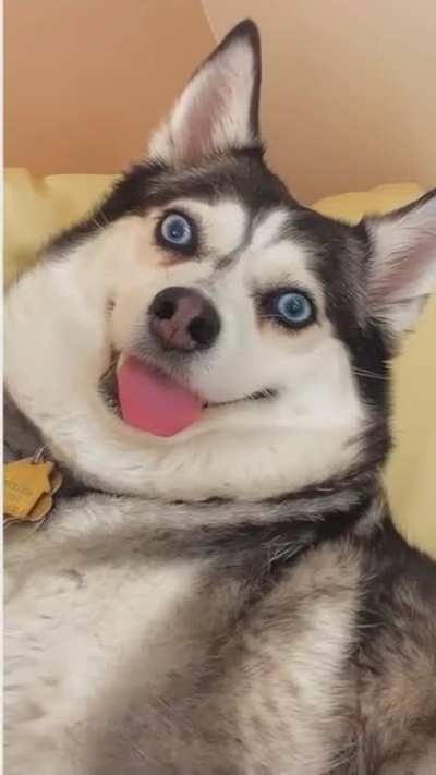 He&rsquo;s just installing an update