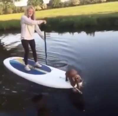 &ldquo;I help hooman!&rdquo;