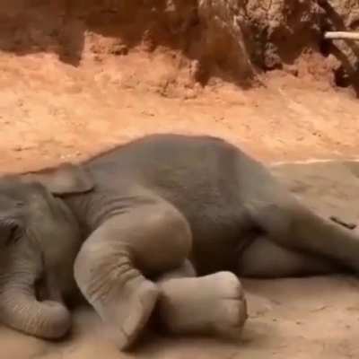 Sorry, Can&rsquo;t do the interview at this time. I am sleepy