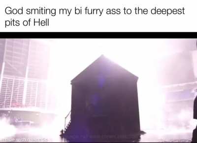 Furry_irl