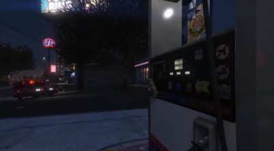 Me and my friend went around Los Santos dressed as zebras and caused mayhem