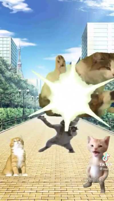 SHINYYYYYYYY