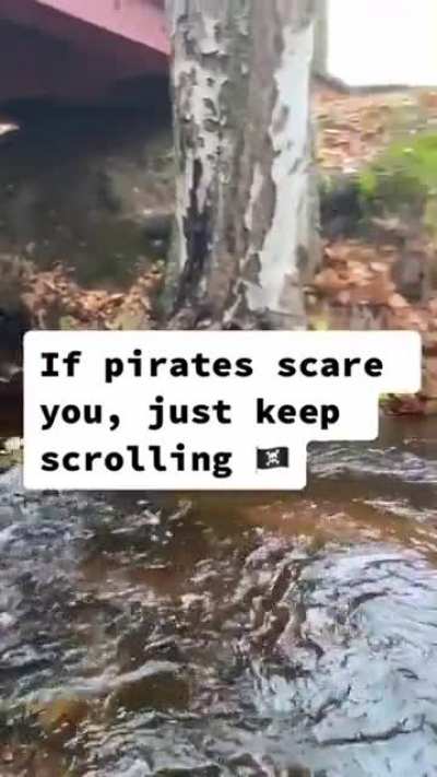 me-irl