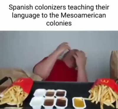 Why the fries tho