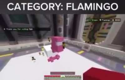 Category Flamingo &eth;&brvbar;&copy;