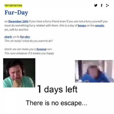 Furry_irl
