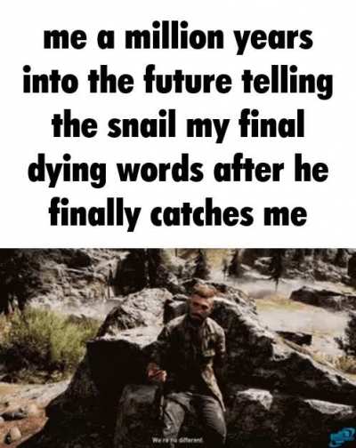 snail rule