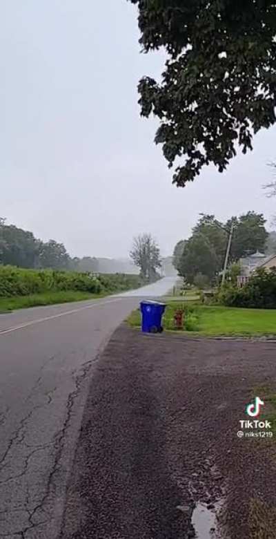 This rain is everything.
