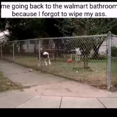 Whoopsie doopsie