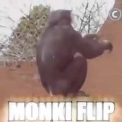 Incr&iacute;vel