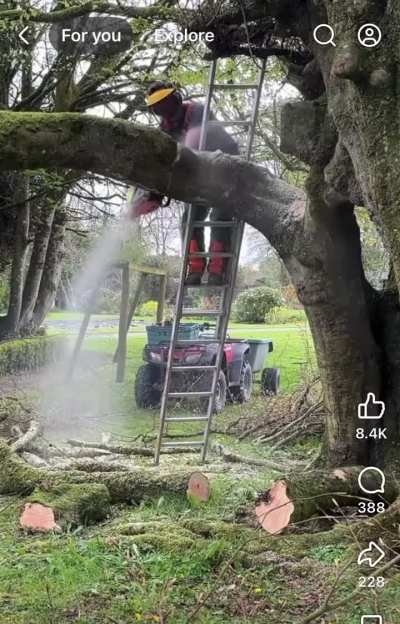 Mmm. Ladders &amp;amp; Chainsaws.