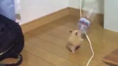 M&atilde;o pra cima chat