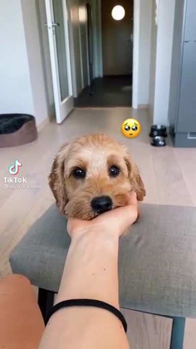Those eyes