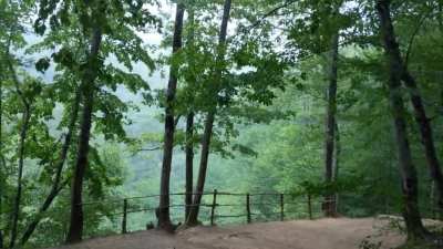 Rain in the Russian mountain forest