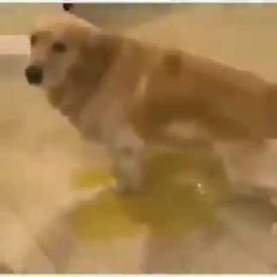 he piss