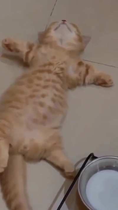 🤣 when the "itis" hits you hard 😂