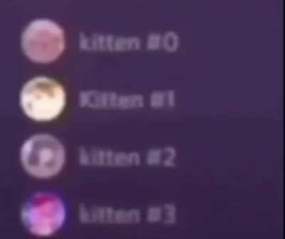 xd