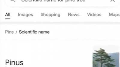 🗿