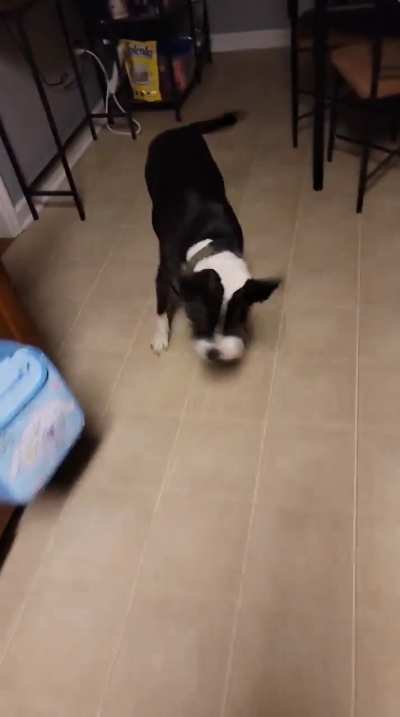 Does this count?