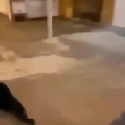 he