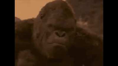 King Kong &amp;gt;&amp;gt;&amp;gt;&amp;gt;&amp;gt;&amp;gt;&amp;gt;&amp;gt;&amp;gt; Godzila