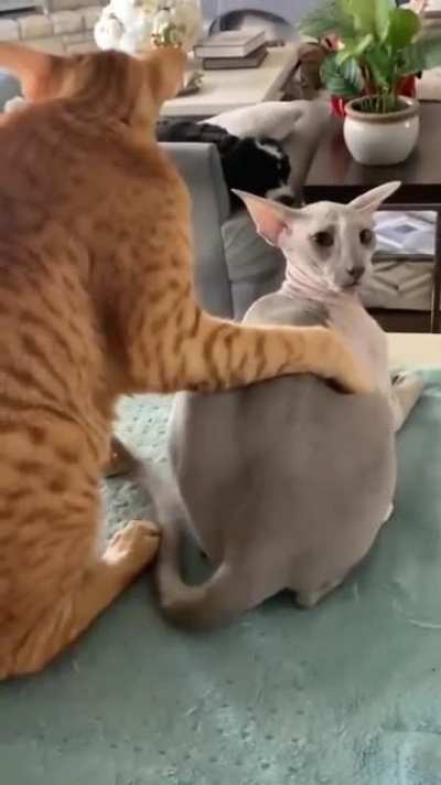 No, no, don&rsquo;t touch me there