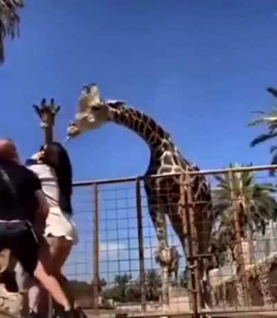 Weeeeeeee