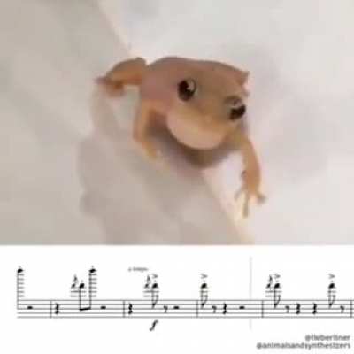Someone sign this frog