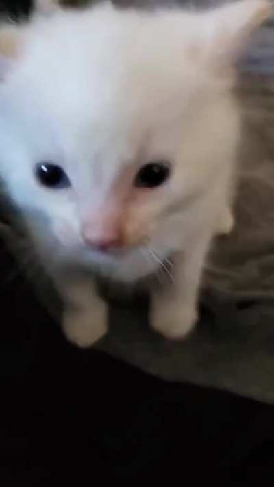 Hi Herbert(delete if not considered fitting)