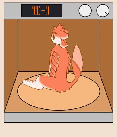 spin in oven