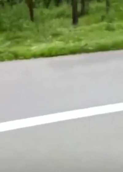 Never getting on a bike in the jungle again...
