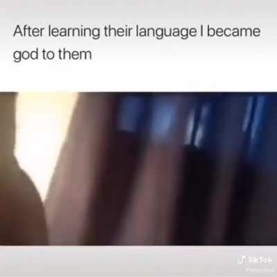 Language skills