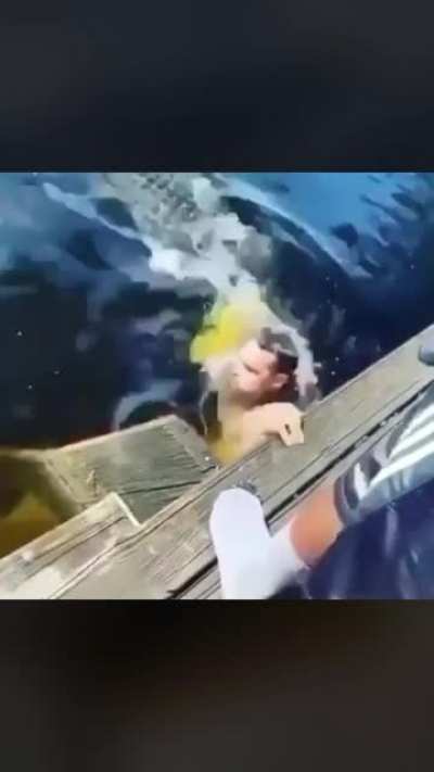 Man swimming with alligators gets... exactly what you&rsquo;d expect.