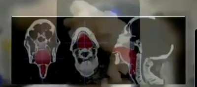 What a 3000 year old Mummy voice sounds like