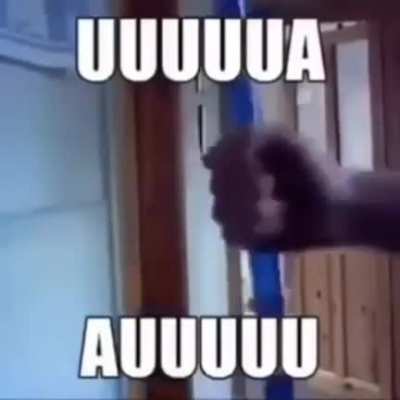 Uuuuua, auuuuu