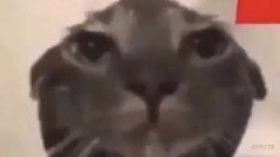 NOOOOOOOOOO